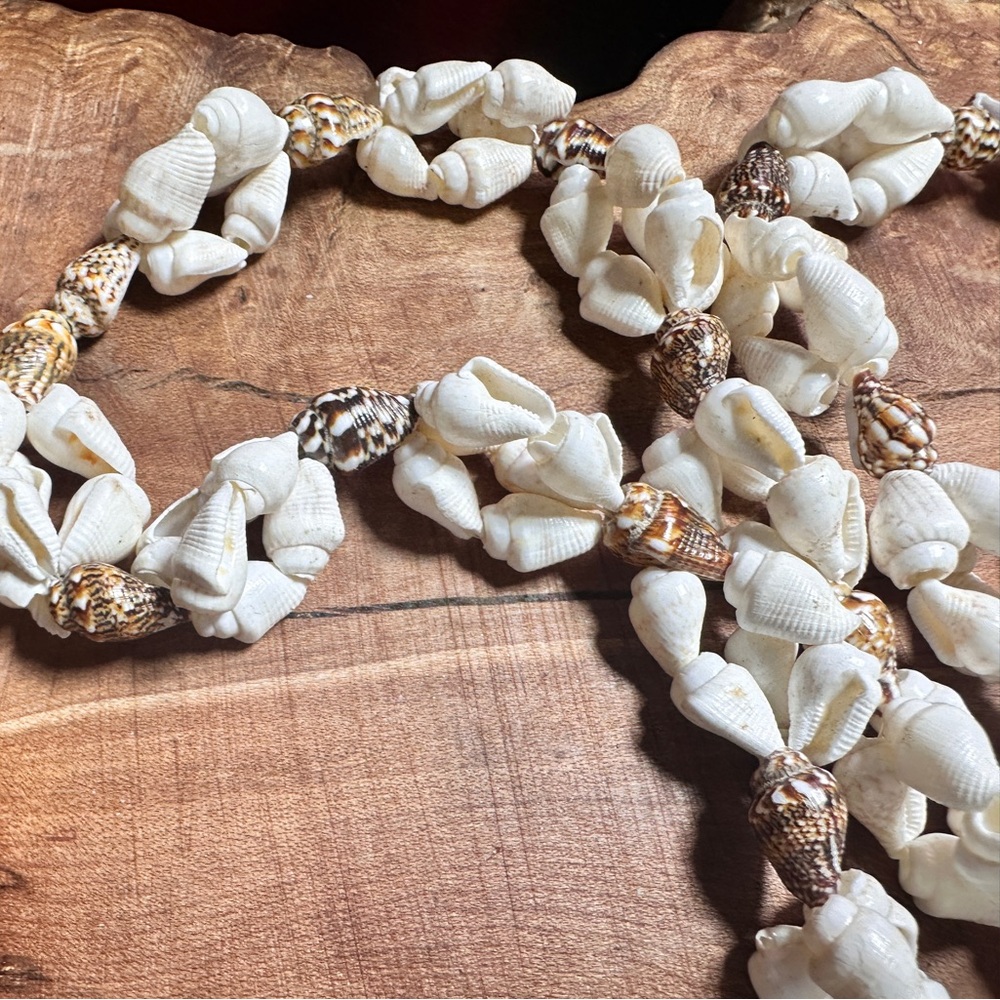 Shell necklace - Picture 2 of 4